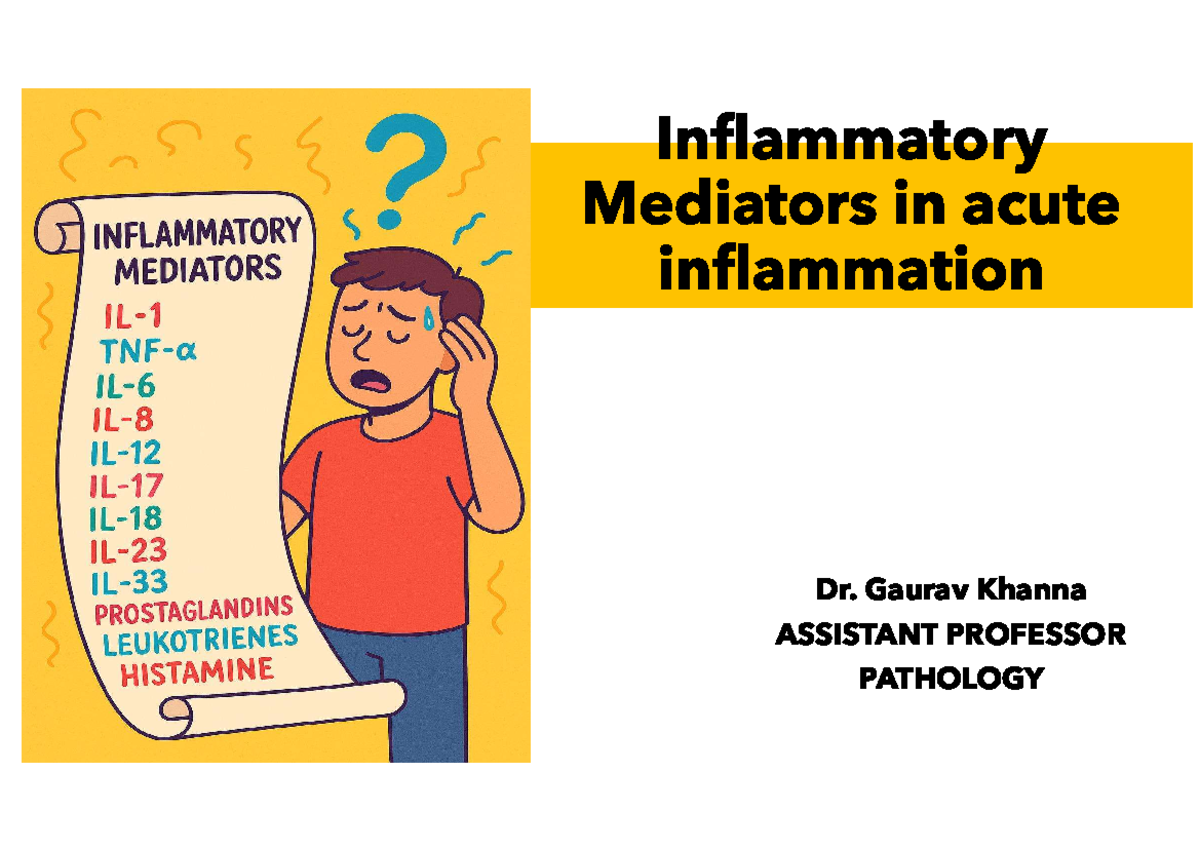 Inflammatory Mediators in Acute Inflammation - INFLAMMATORY MEDIATORS ...