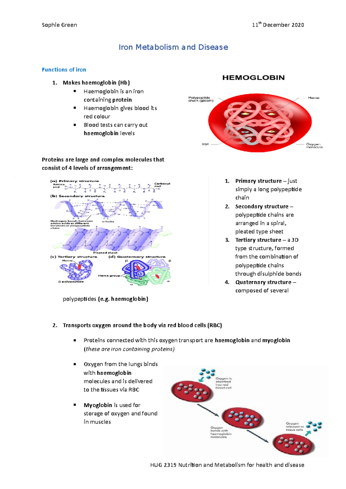 Iron Metabolism and Disease Lecture Notes for Biology 101 - Studocu