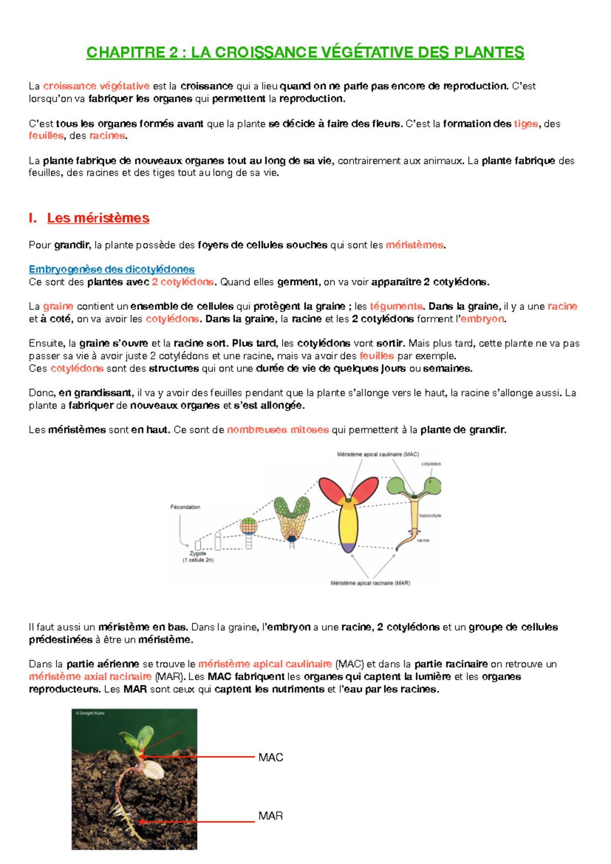 Revitalisateur Pour Plantes - Stimule Croissance Et Photosynthèse - Boîte De 6 Bâtons, Pour Tous Types De Plantes