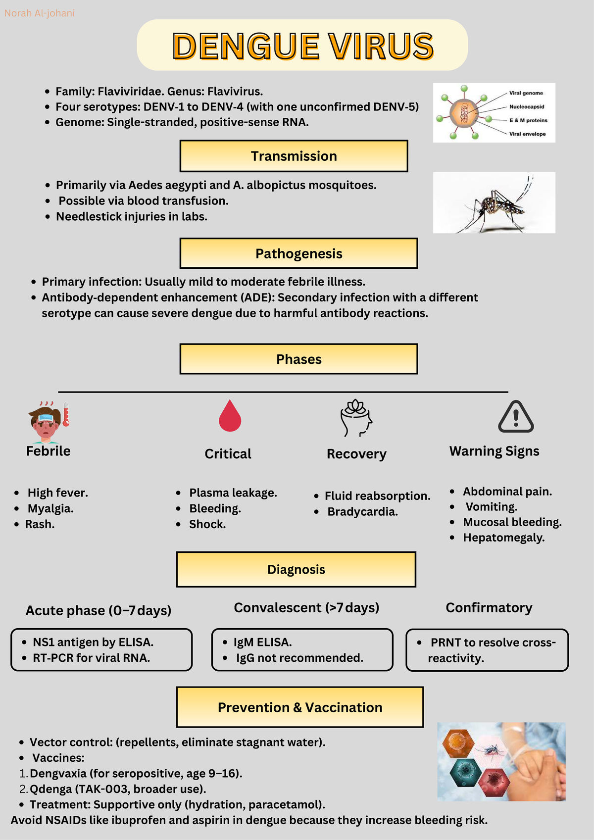 Dengue Virus Overview: Family, Transmission, Diagnosis & Treatment ...