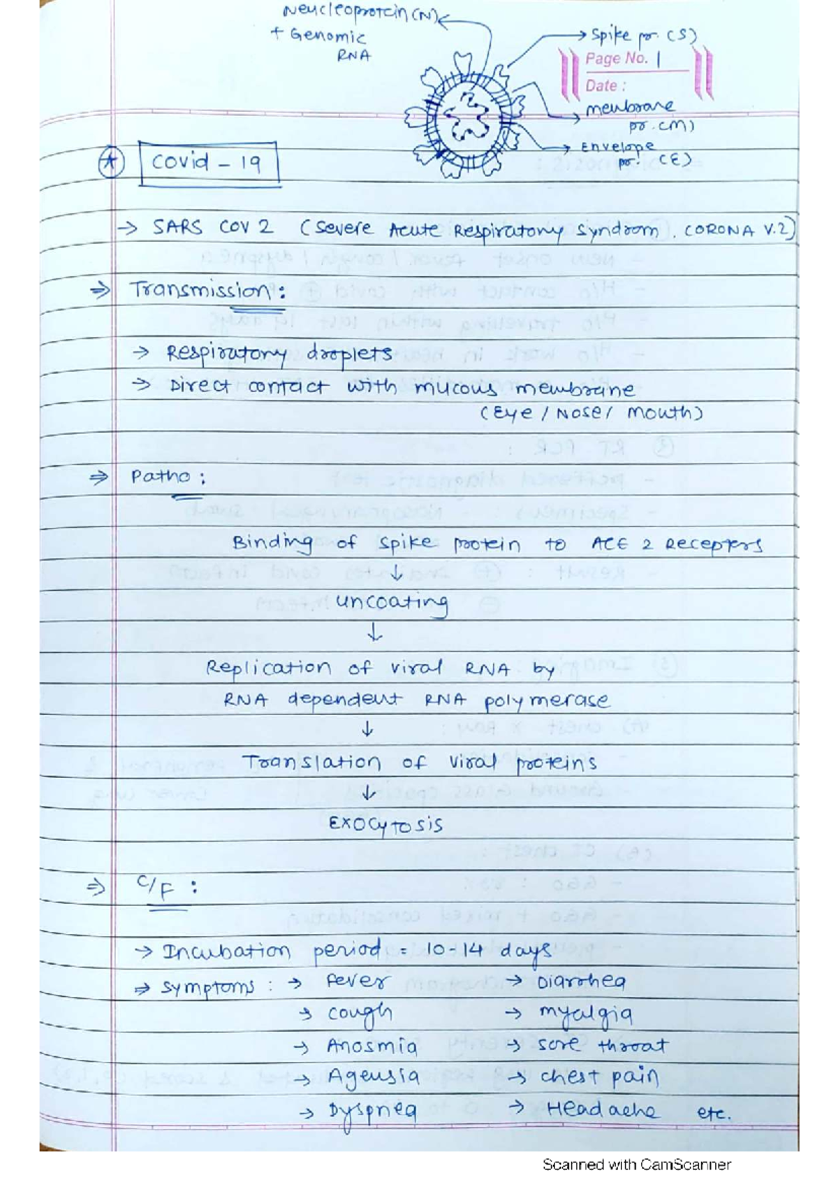 Infectious Diseases (MED 101) - Comprehensive Revision Notes - Studocu