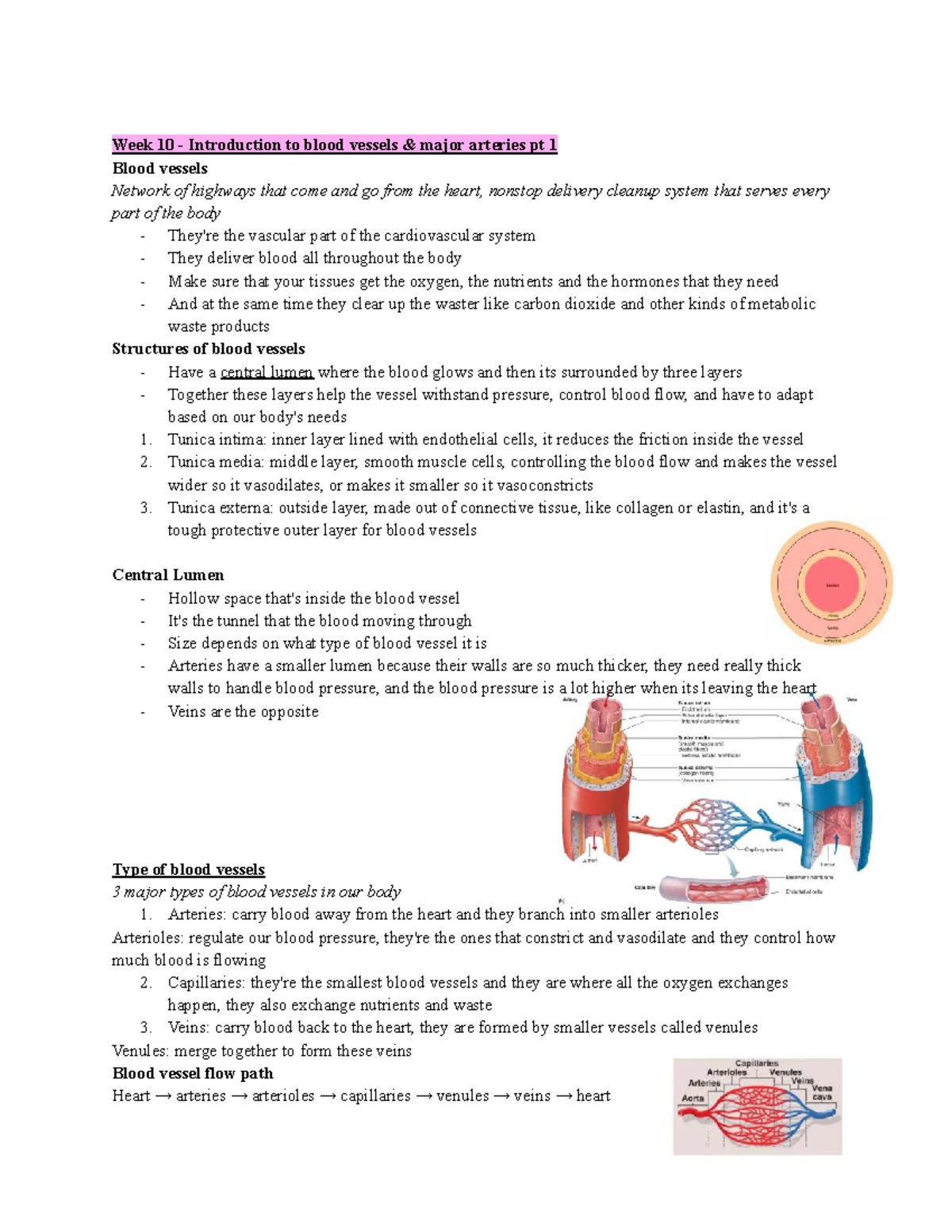 Week 8 Anatomy: Introduction to the Nervous System (ANAT 101) - Studocu