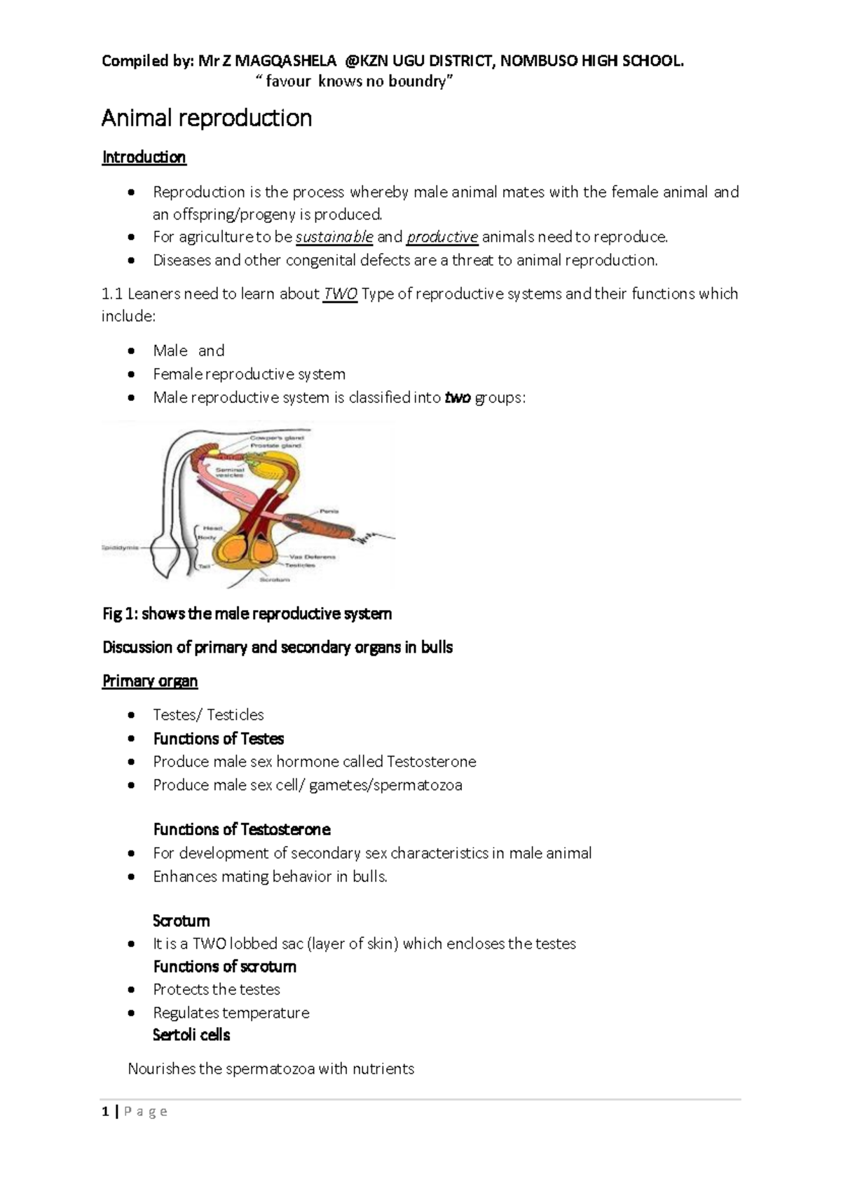 Animal Reproduction Overview: Comprehensive Notes for AGRI101 - Studocu