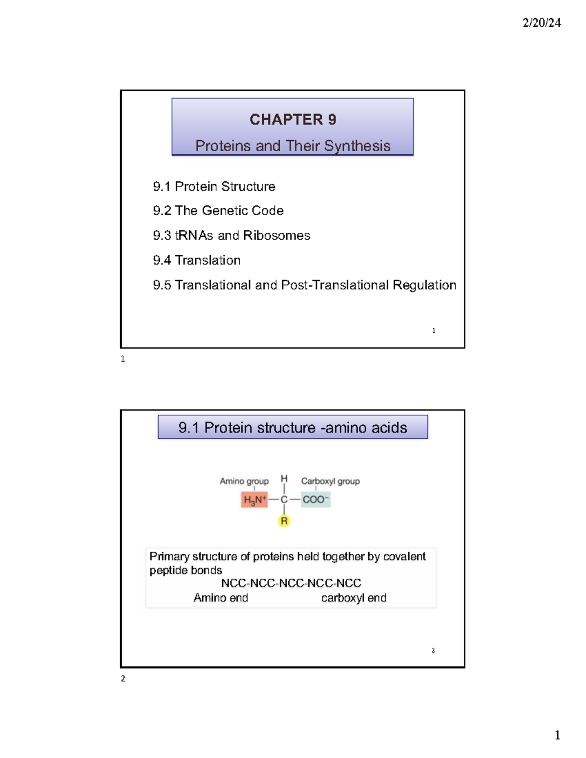 Proteins: Structure, Synthesis, and Genetic Code Overview (BIO101 ...