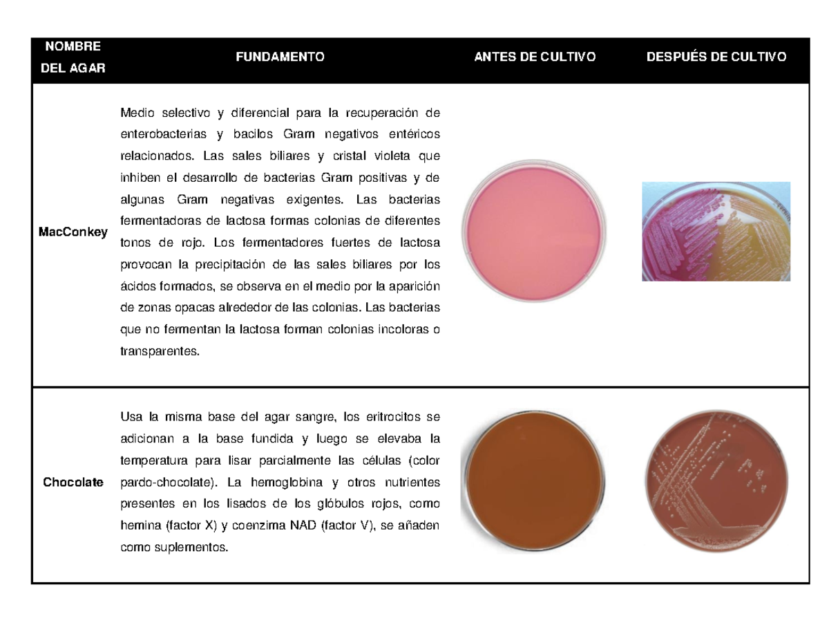 434675959 Tipos de Agar: Fundamentos y Usos en Microbiología - Studocu