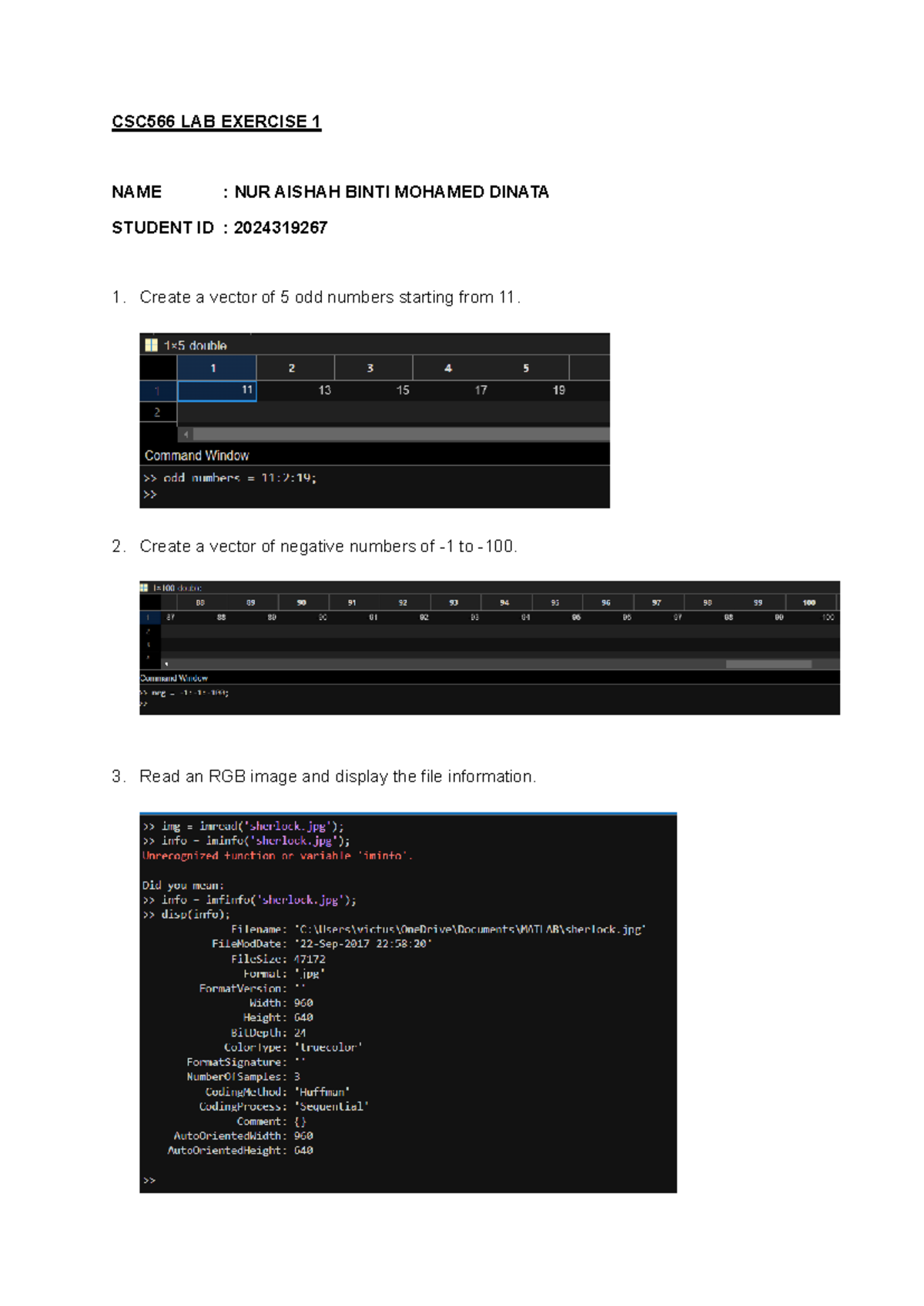CSC566 LAB Exercise 1 - image processing - CSC566 LAB EXERCISE 1 NAME ...