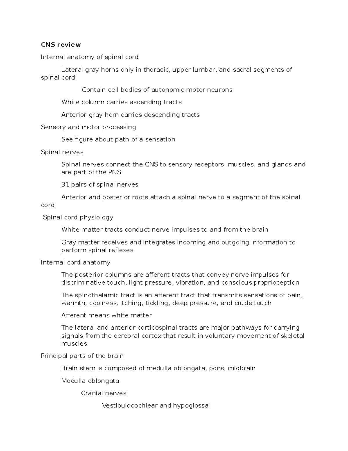 CNS 2 Final Exam Notes: Spinal Cord, Brain Anatomy, and Autonomic ...