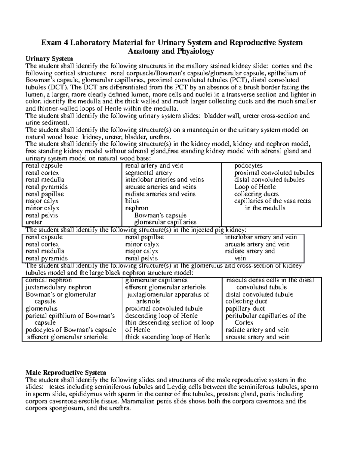 Lab Exam 4: Urinary & Reproductive Systems Identification Guide - Studocu