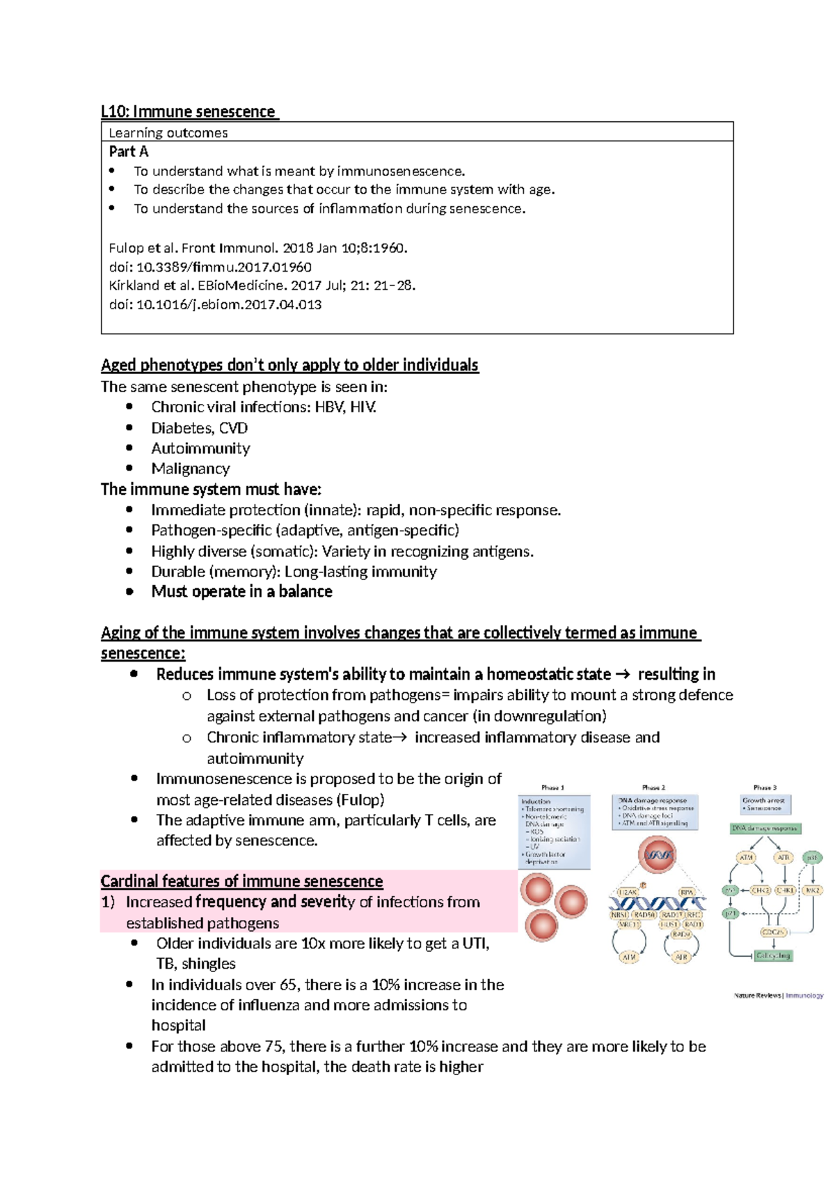 L10: Immune Senescence - Lecture Notes on Aging and Inflammation - Studocu