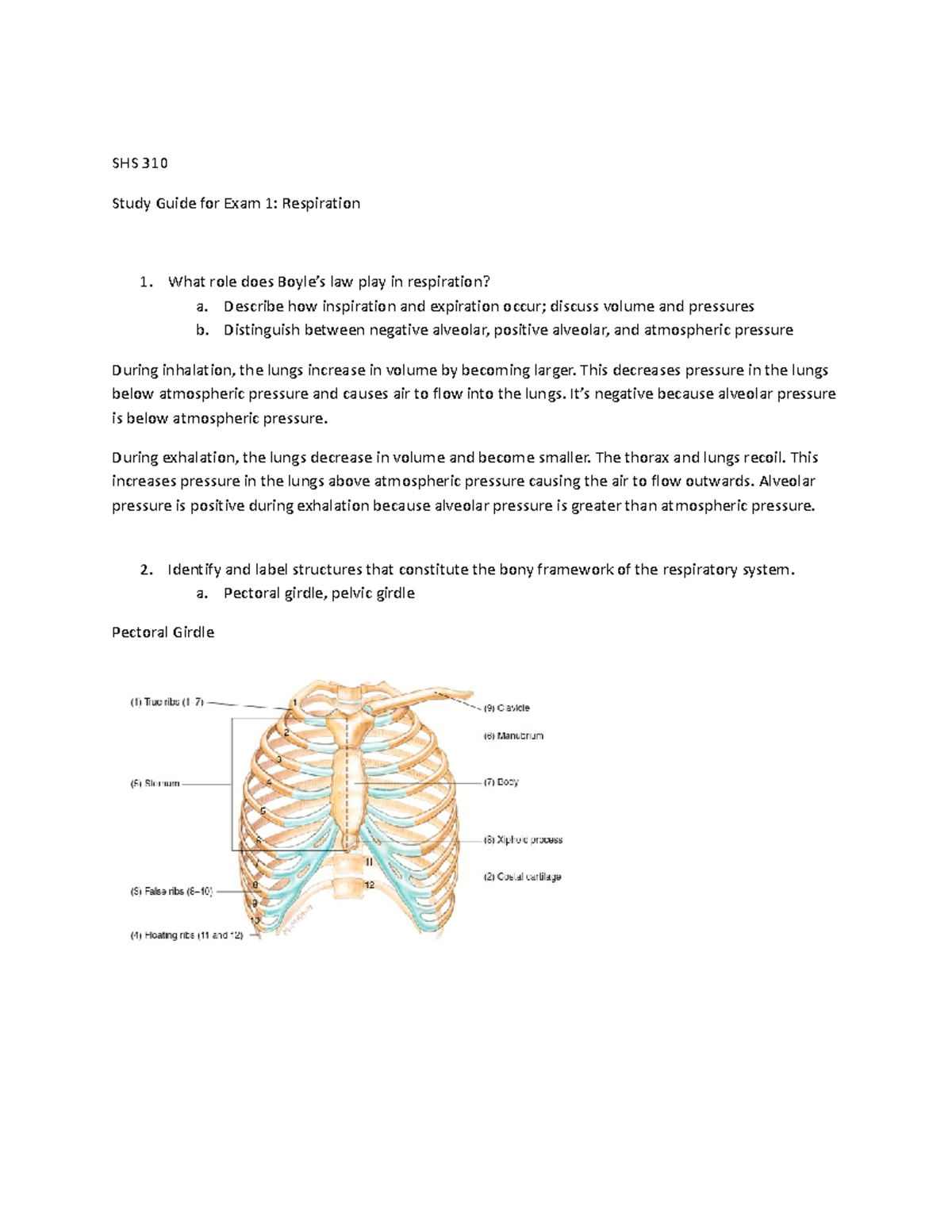 SHS 310 Exam 1 Study Guide: Key Concepts in Respiration - Studocu