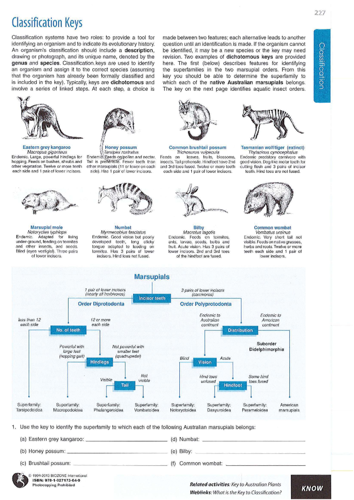 Lesson 7 - Dichotomous Keys in Classification Systems (BIO227) - Studocu