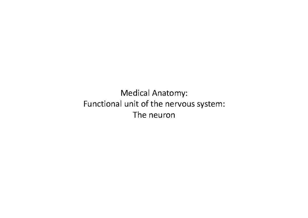 Medical Anatomy (Week 2 Lecture Notes): Nervous System Overview - Studocu