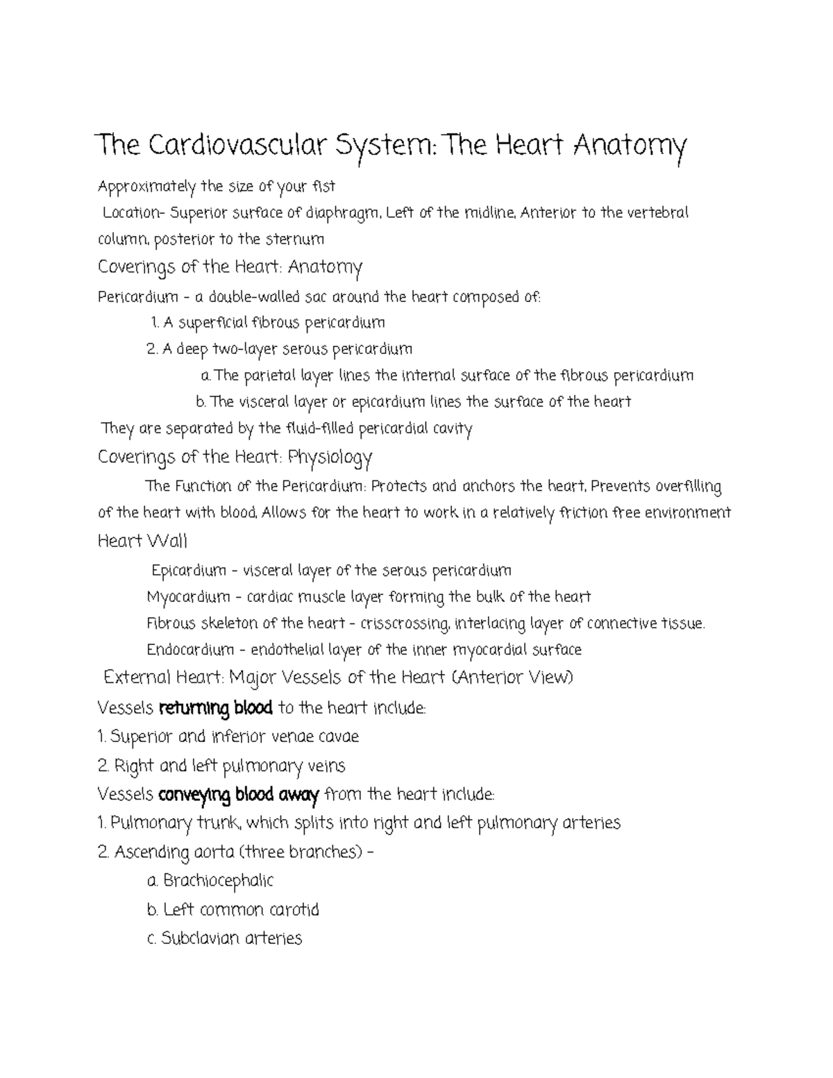 The Cardiovascular System: Heart Anatomy & Physiology Overview - Studocu