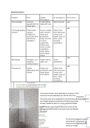 Document Notes On Biology Chloroplast Structure And Function