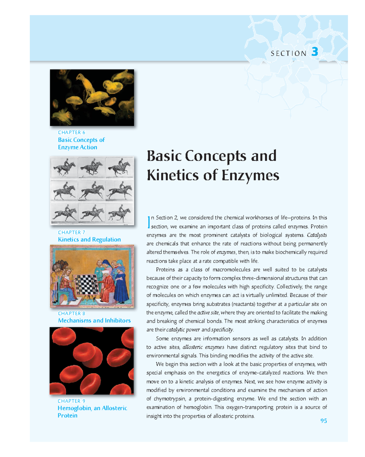 Biochemistry - A Short Course - 3rd Sec 3 - Chap ter 7 Kinetics and ...