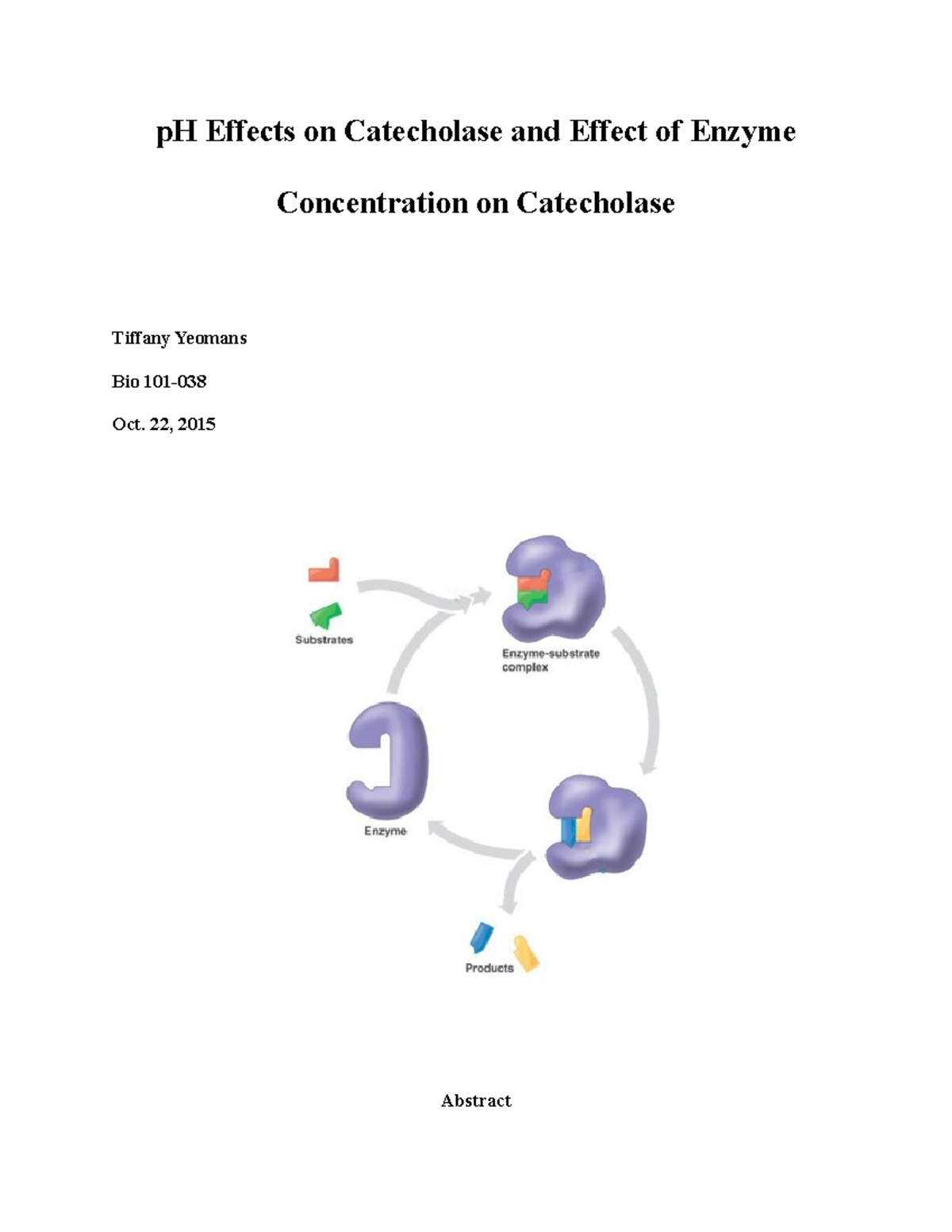 Bio 101: Effects of pH and Enzyme Concentration on Catecholase Activity ...