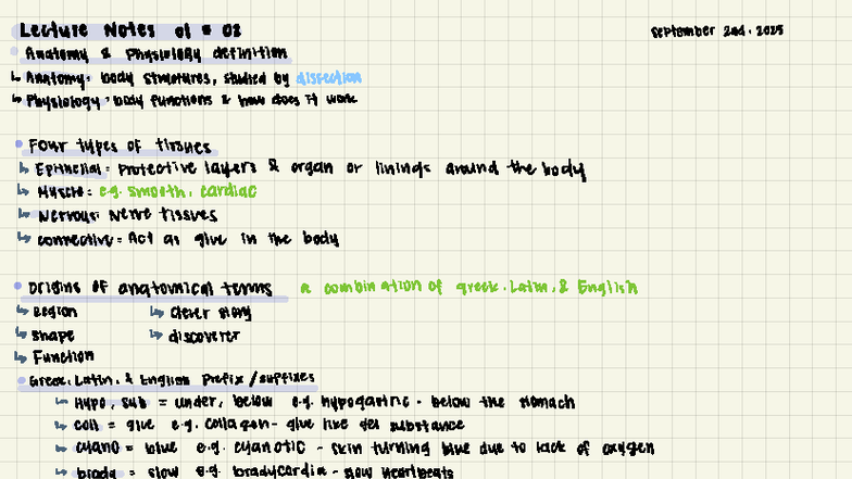 Anatomy & Physiology Lecture Notes: Body Structures & Functions - Studocu