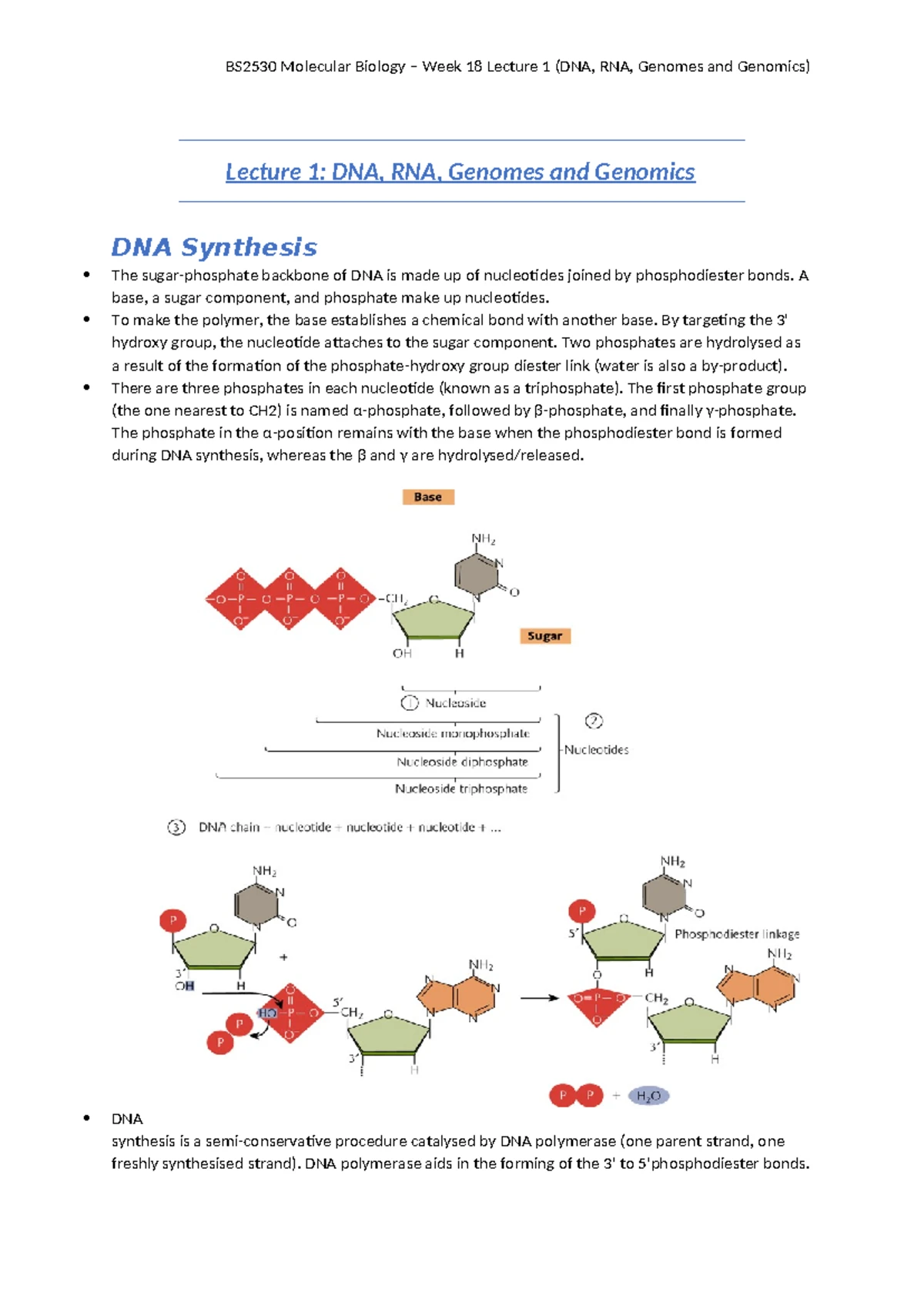 BS2530 Molecular Biology Module Specification 2023-24 Overview - Studocu
