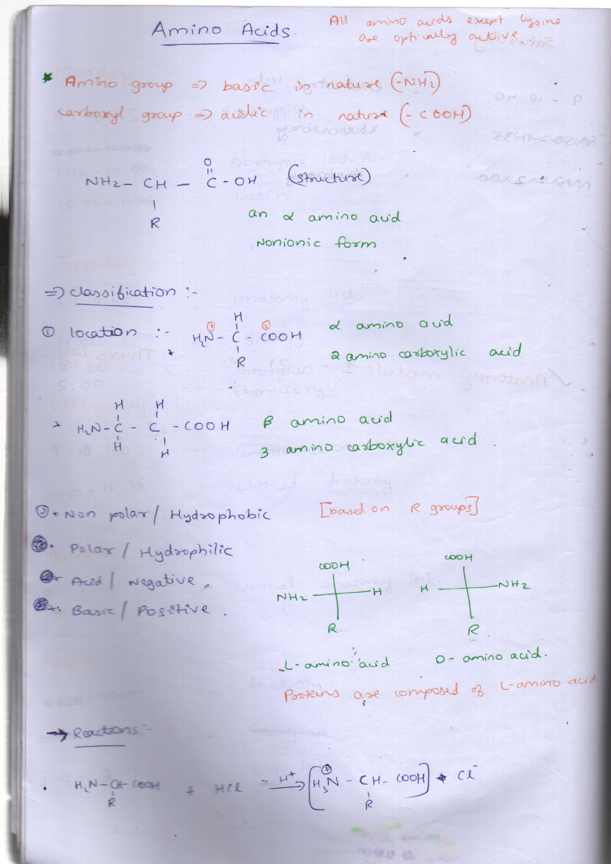 Amino Acids Overview - Semester 1 Med Chem Notes - Studocu