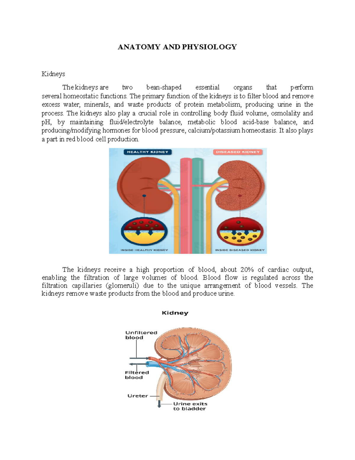 A&P-CKD - Case Study on Chronic Kidney Disease & ESRD - Studocu