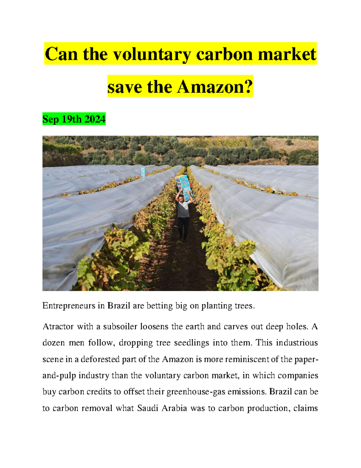 Can the Voluntary Carbon Market Revive the Amazon? (Oct 15) - Studocu