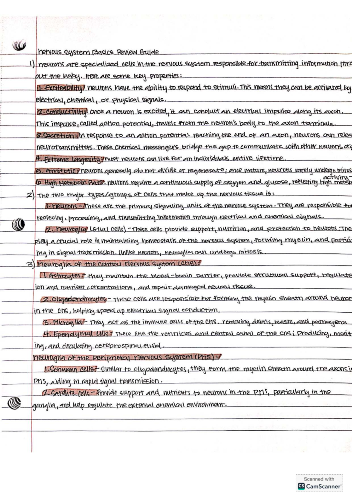 Nervous System Basics Review Guide - Here are some key properties: 11 ...