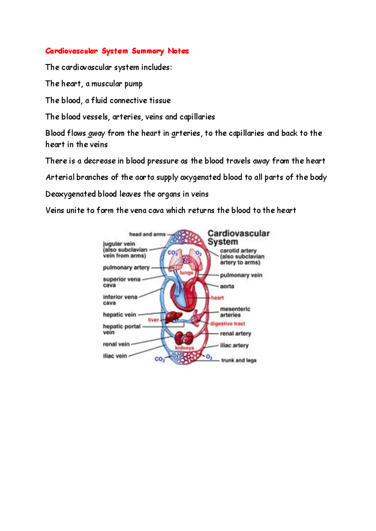 CVS Summary Notes (vafum 8): Structure, Function & Blood Flow - Studocu