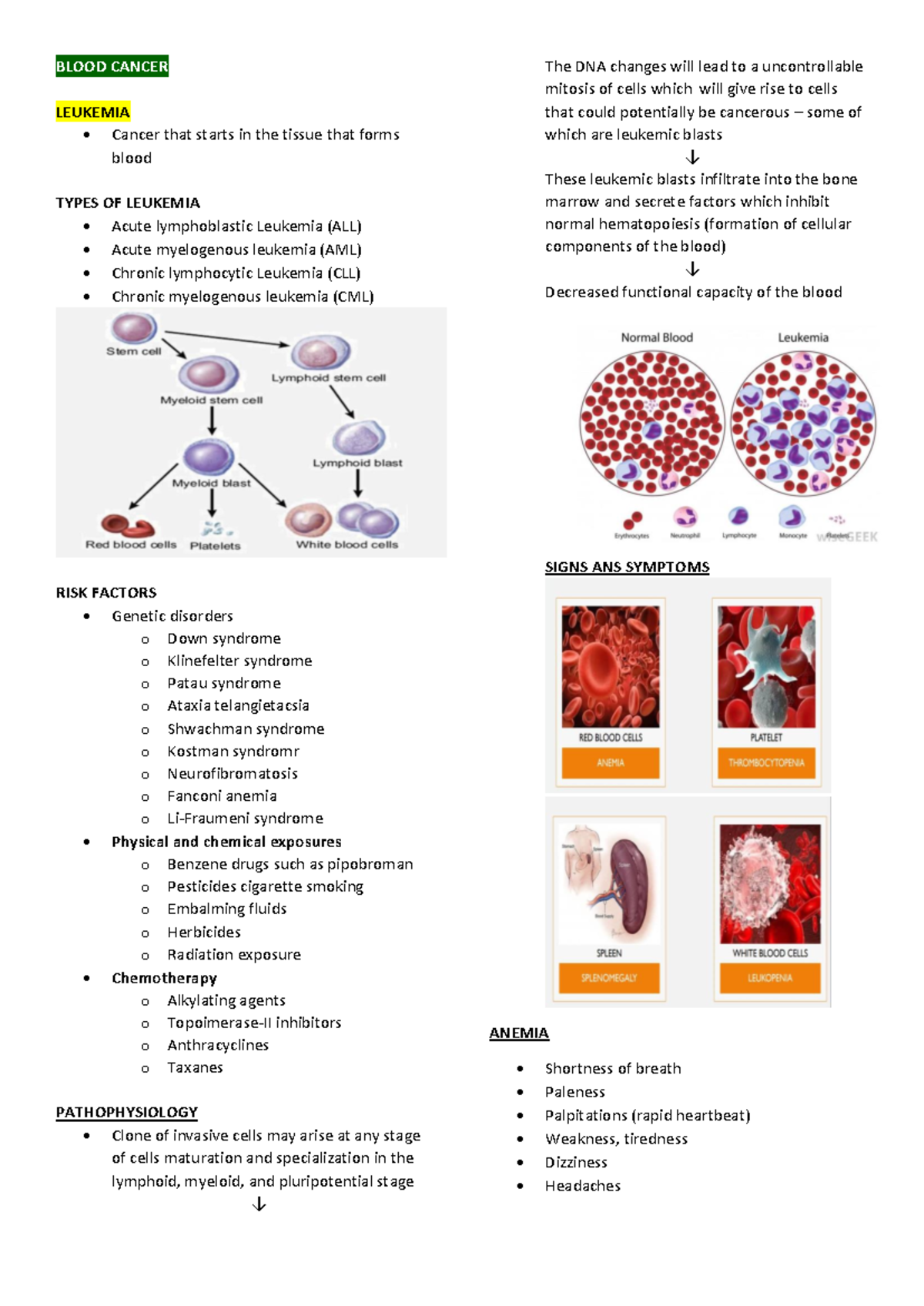 Blood Cancer Study Notes: Leukemia Types and Treatments - Studocu