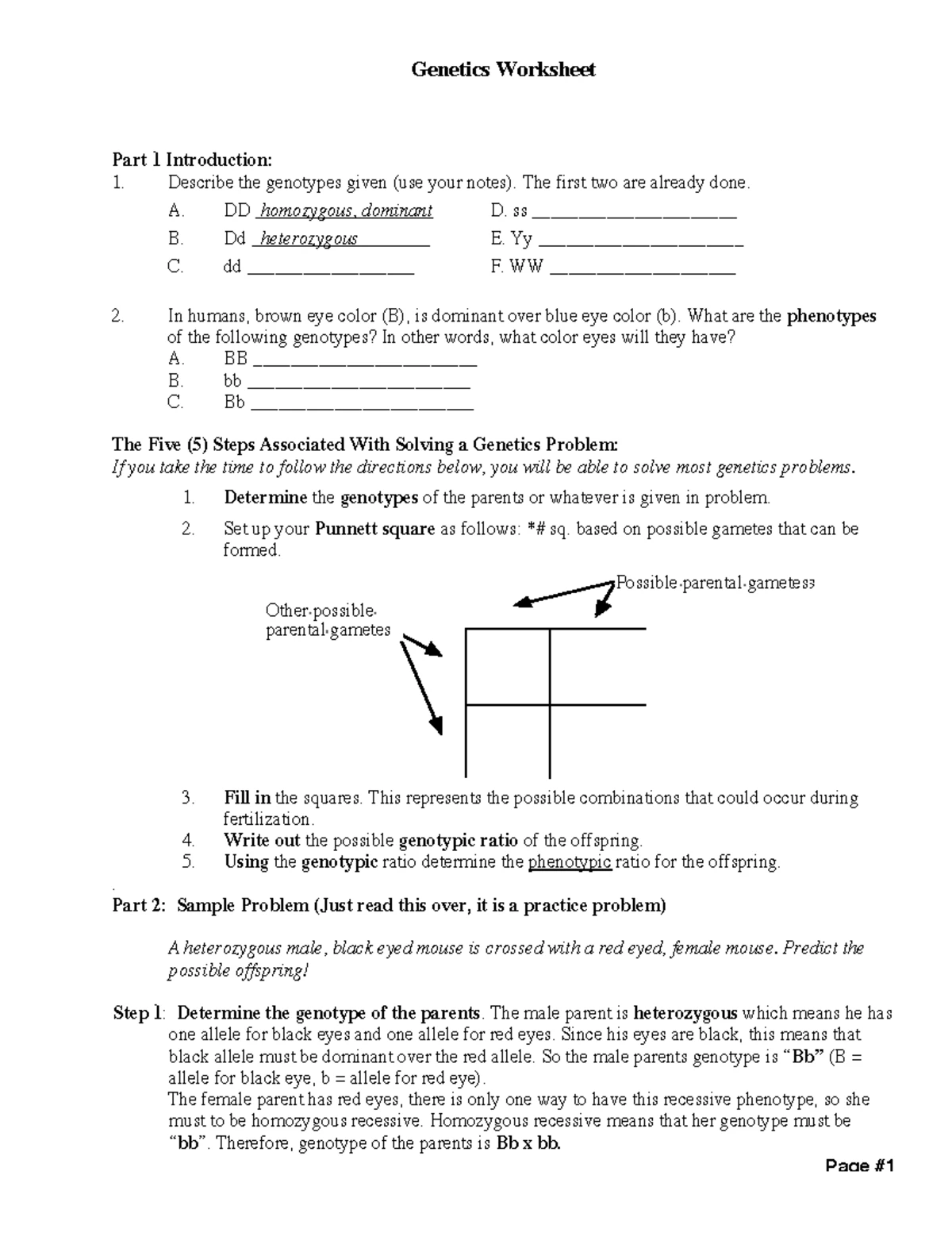 Genetics 101: Comprehensive Study Notes for Biology Course - Genetic ...