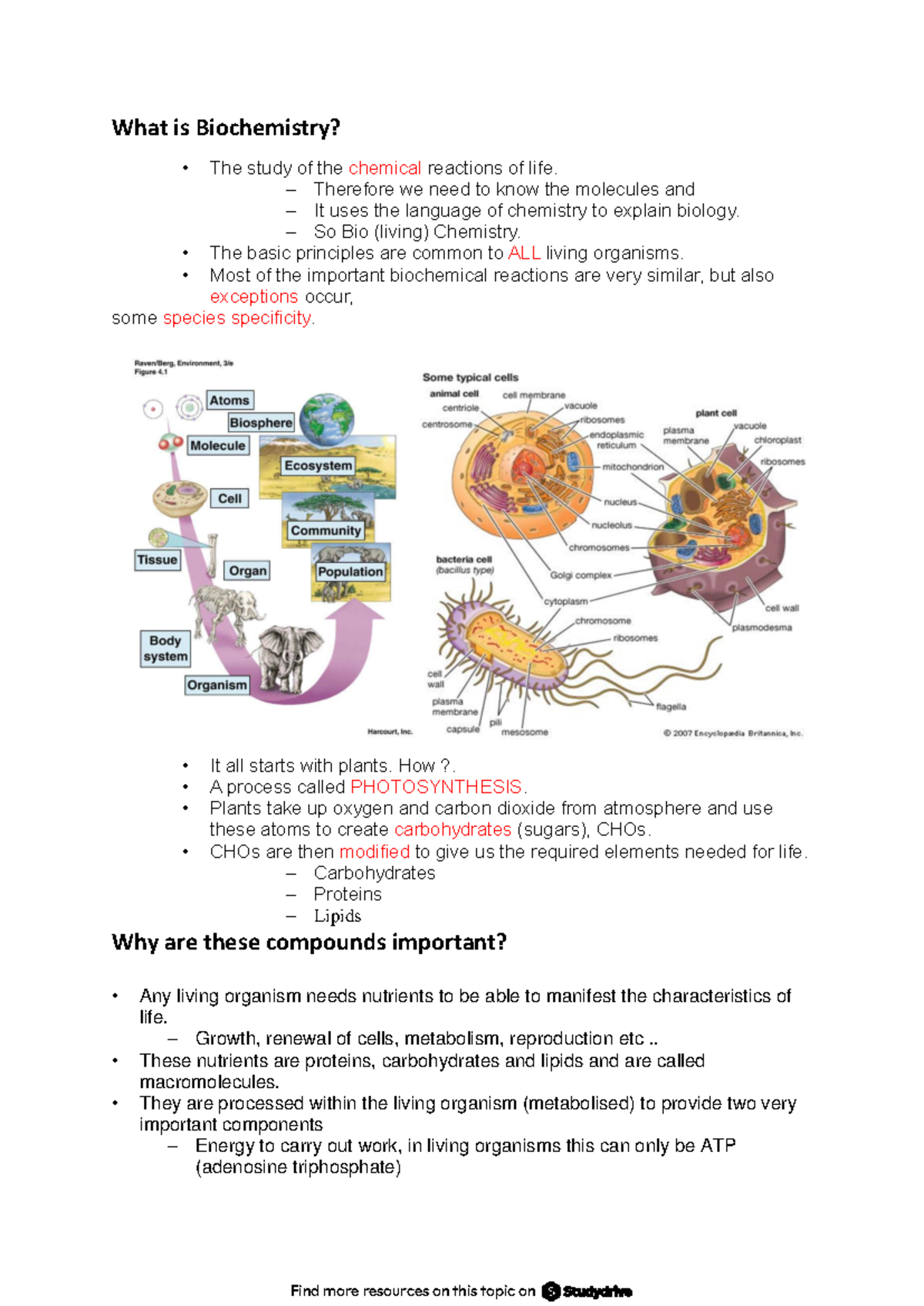 Biochemistry Introduction: Understanding Life's Chemical Reactions ...