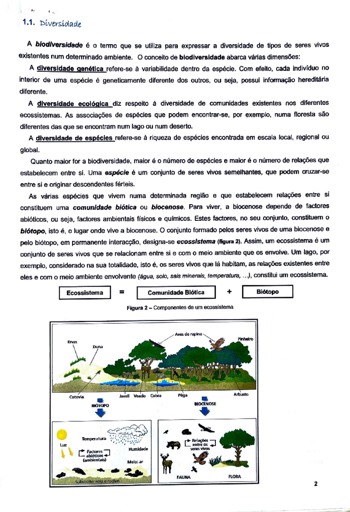 Biologia: Estudo da Biodiversidade e Seus Aspectos Importantes - Studocu