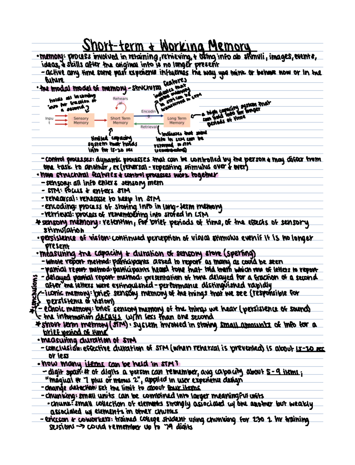 Psy 422 Short term and working memory chapter 5 - PSY 422 - Studocu