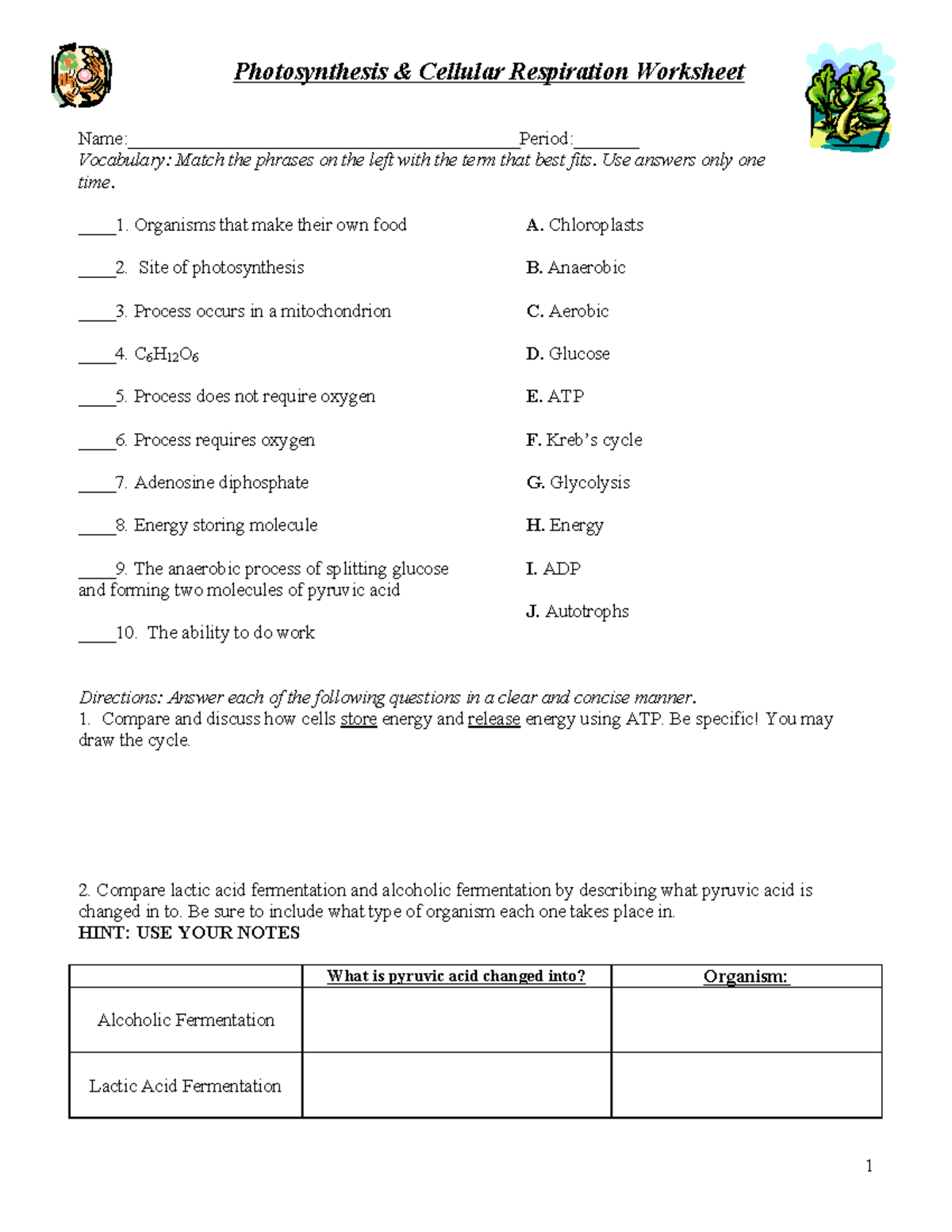 Cellular Respiration Worksheet Answer Key Cell Respiration Reading
