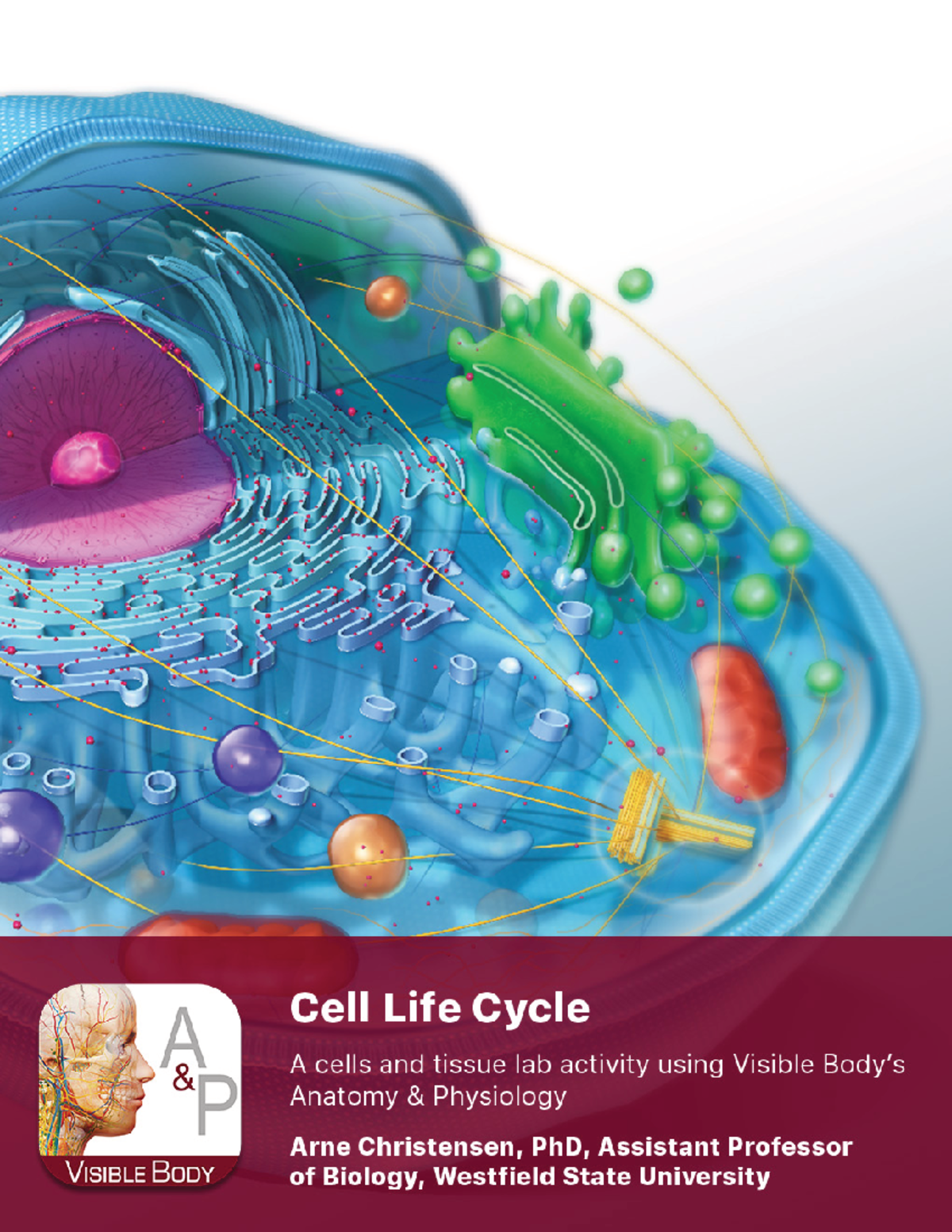 A&P Lab Manual: Exploring the Cell Life Cycle في 3 - Studocu