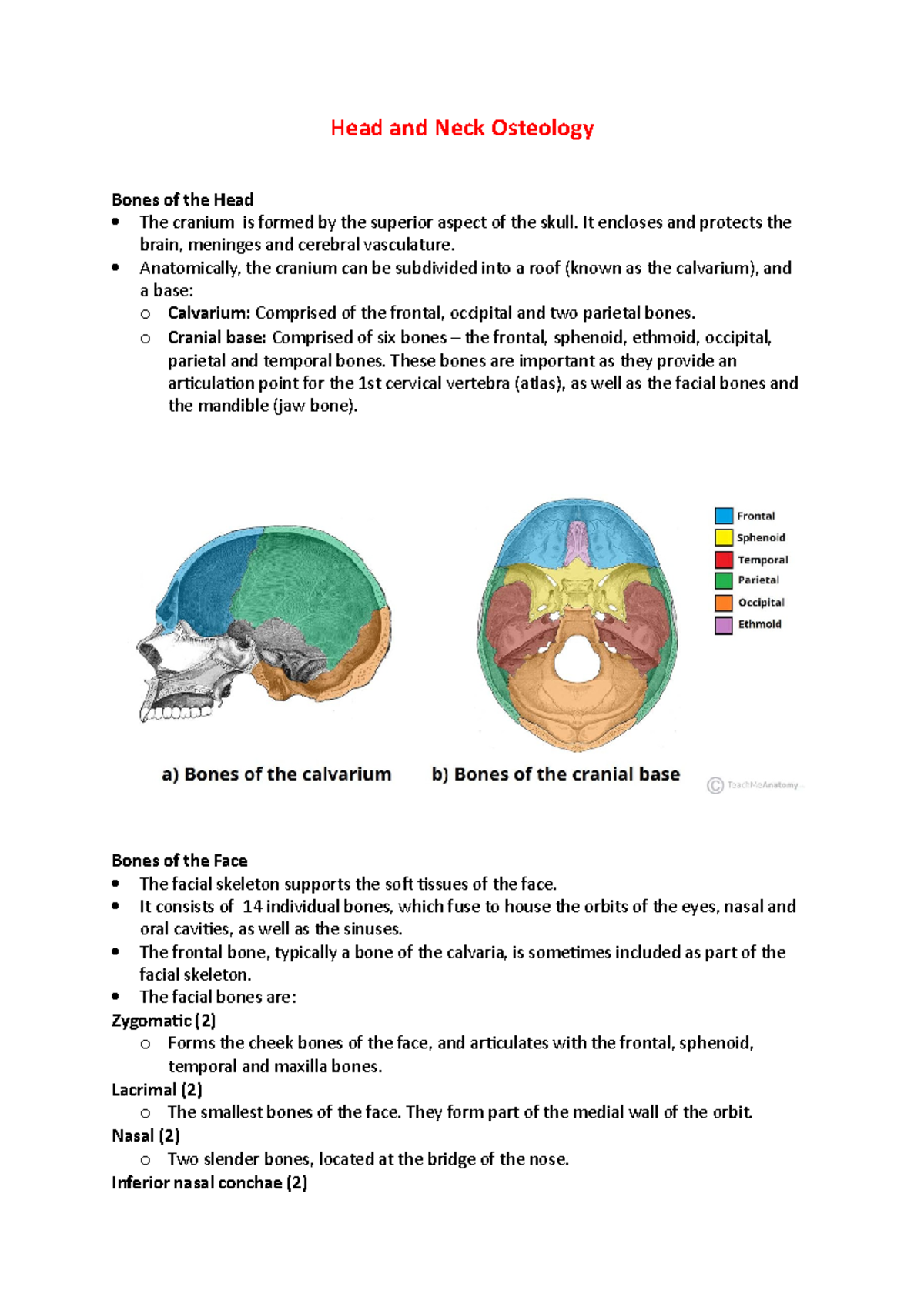 PR4002 Week 7 Lecture 1: Head and Neck Osteology Overview - Studocu