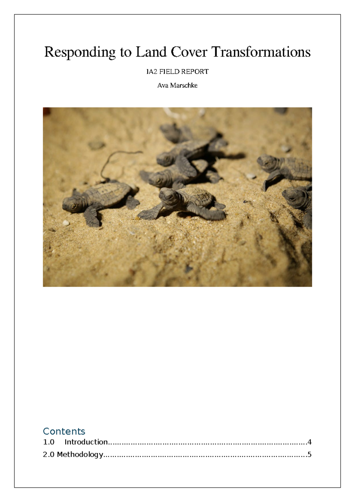 Geography IA2 Field Report: Assessing Coastal Erosion at Mon Repos ...