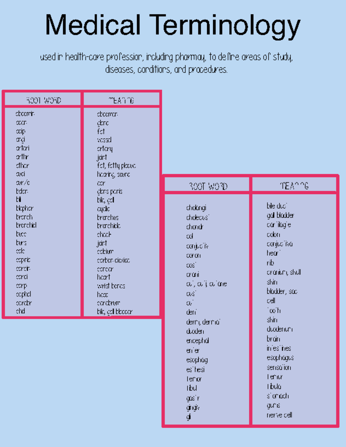 Medical Terminology Glossary for Healthcare Professionals - Medical ...