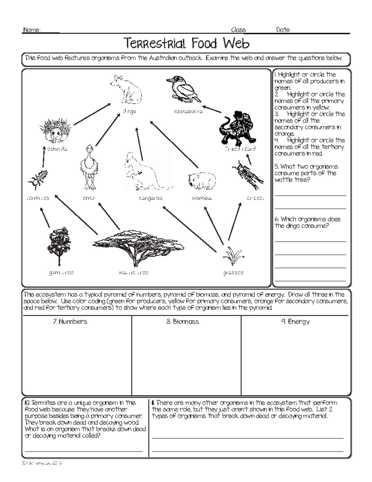 Food Chains \u0026 Webs Lesson Plan and Worksheets Grade 7, image size:1200x1553