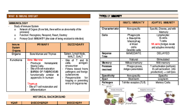 Immunology Serology Review (IMMU 101): Understanding the Immune System ...