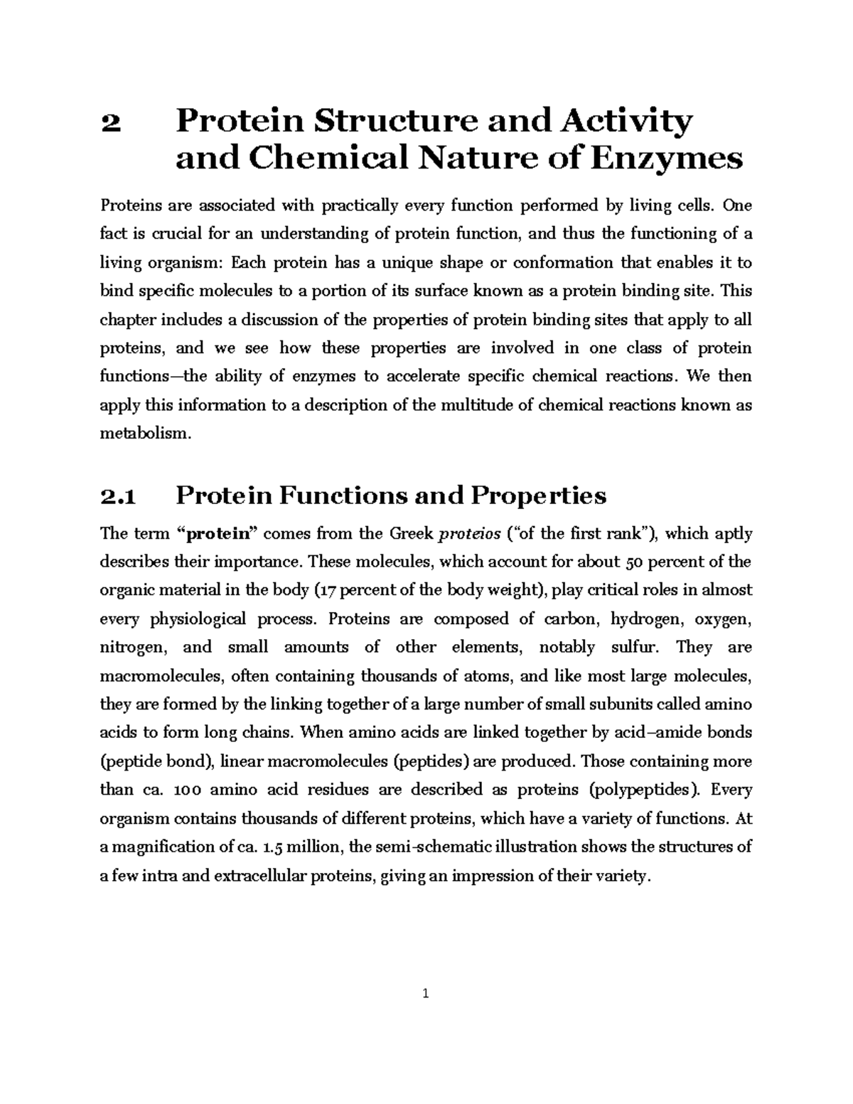 Protein Structure and Function: Insights on Enzymes and Their Chemistry ...