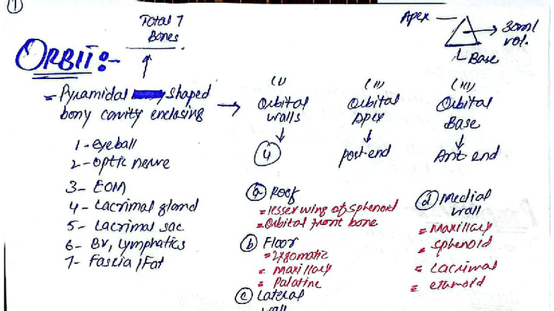 Ophthalmopathy Overview: Orbit Anatomy & Pathologies (Ophth 101) - Studocu