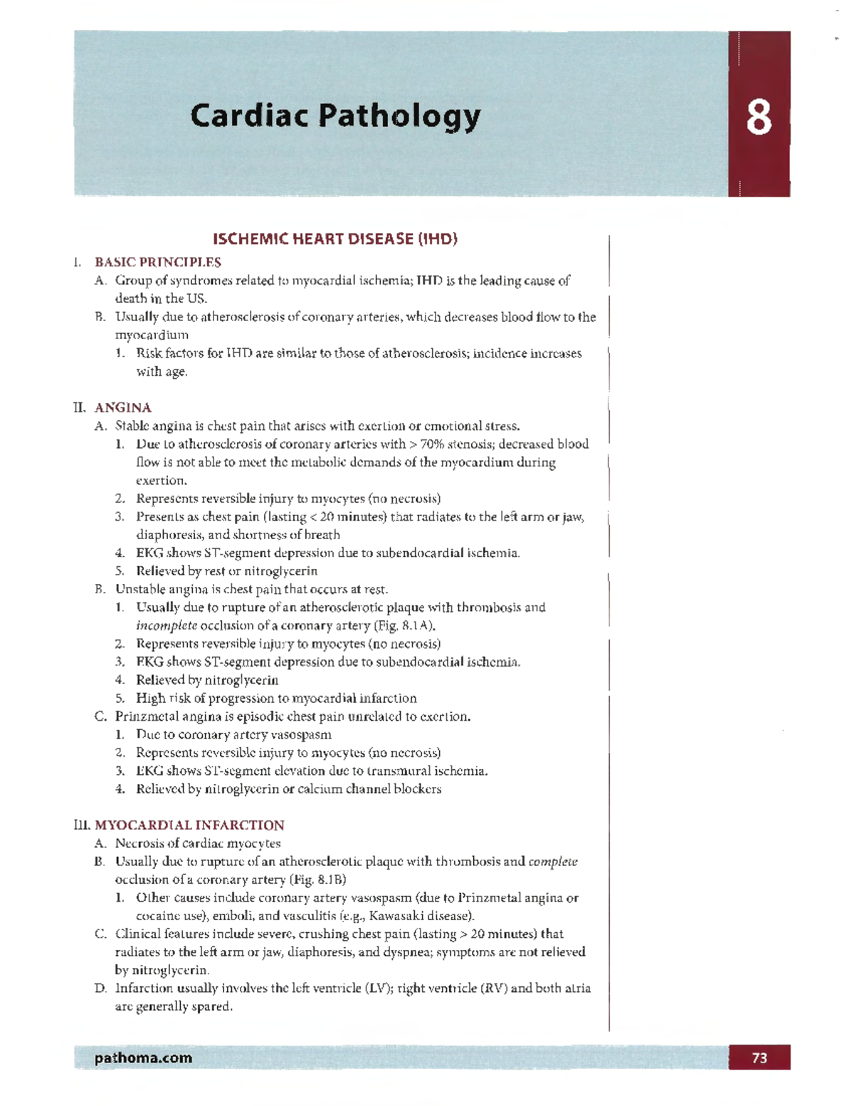 Cardiac Pathology Review: Heart Diseases and Treatment Approaches - Studocu