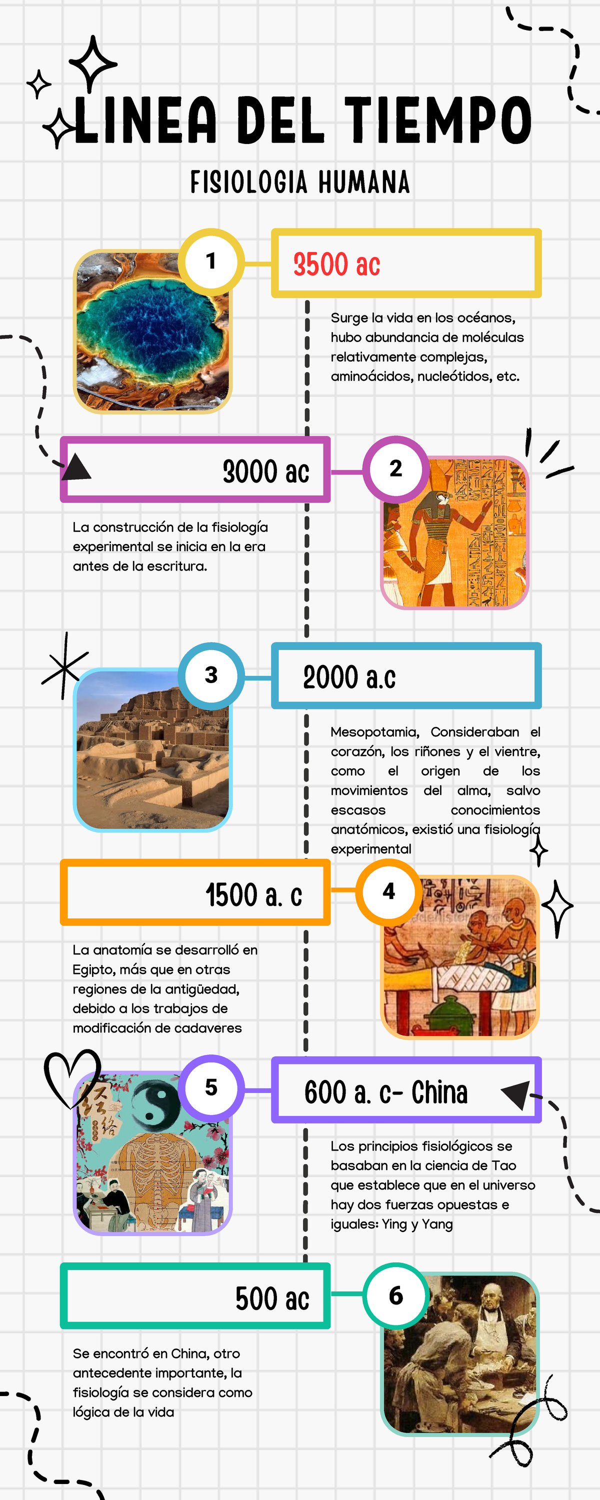 Línea del Tiempo en Fisiología: Principios y Avances Históricos - Document Preview