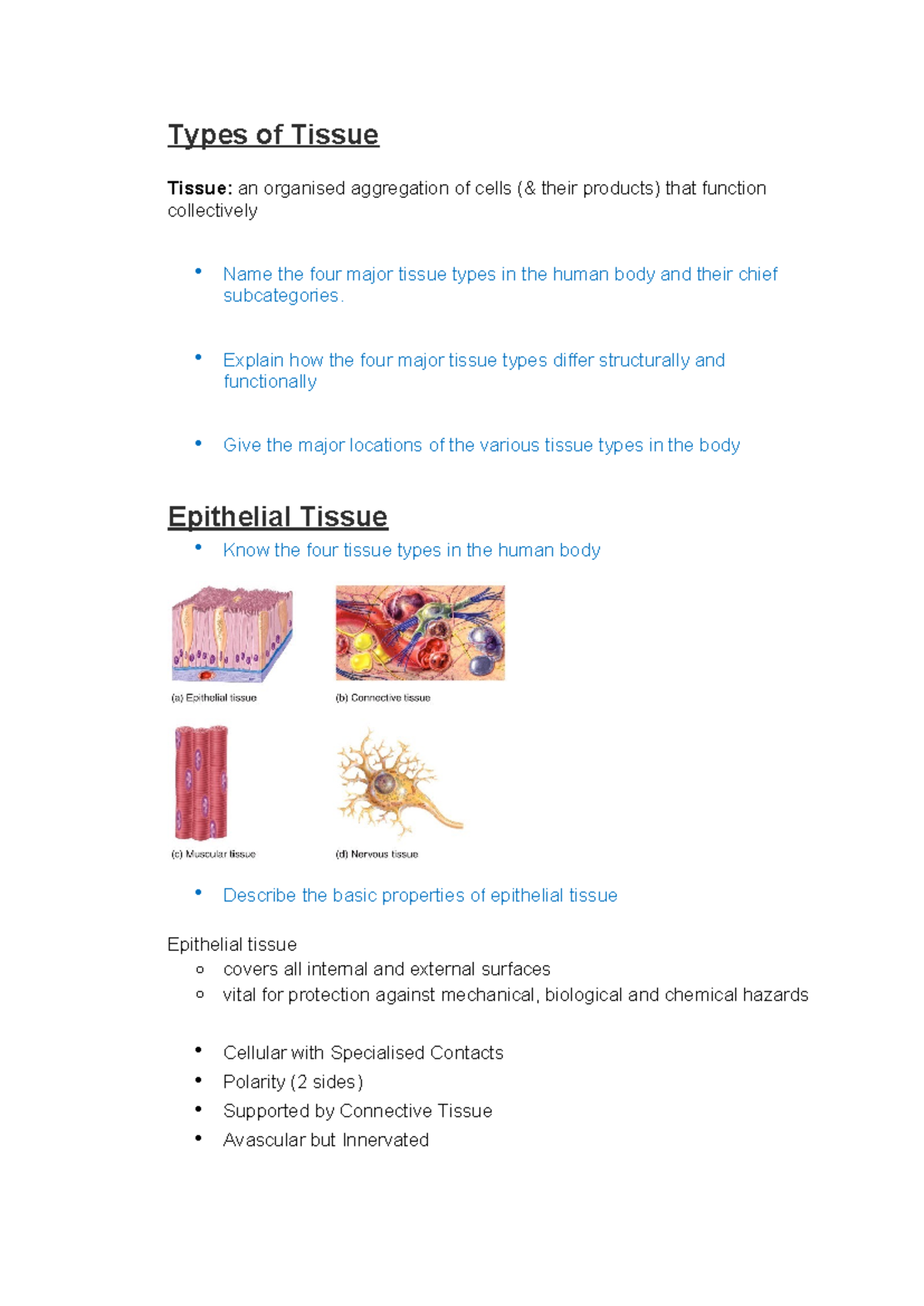 Week 3 Lecture Notes: Tissue Types in HUBS1401 - Studocu