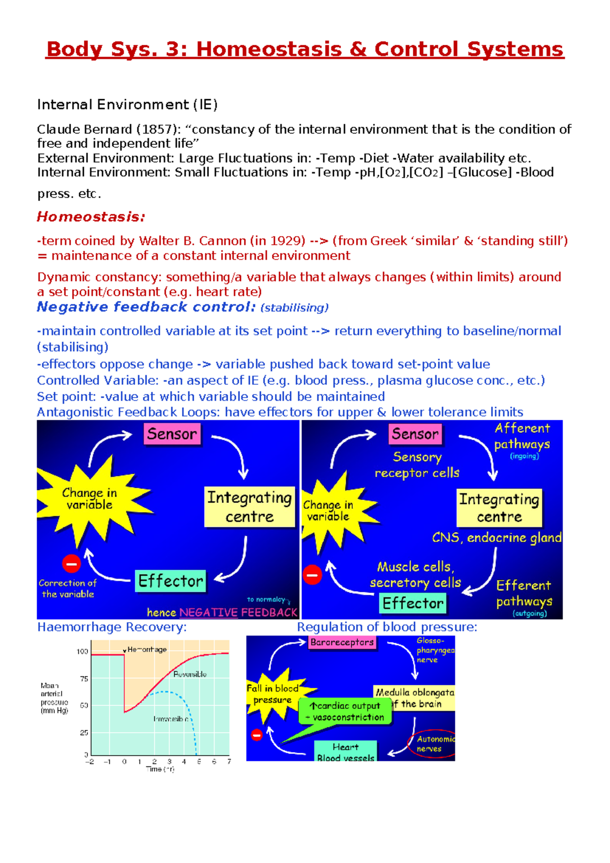 Body Sys. 3 Homeostasis & Control Systems Notes - Body Sys. 3 ...