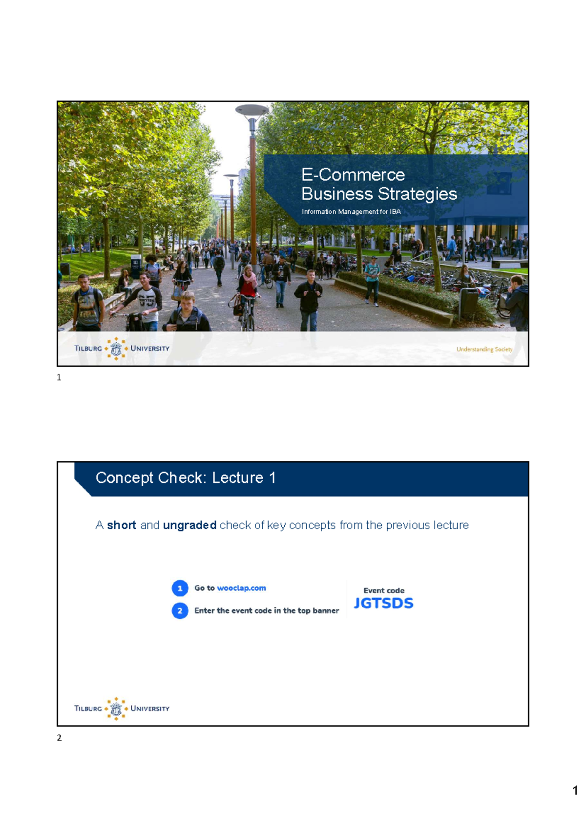 E-Commerce Business Strategies for IBA 1: Lecture 2 Notes - Studeersnel