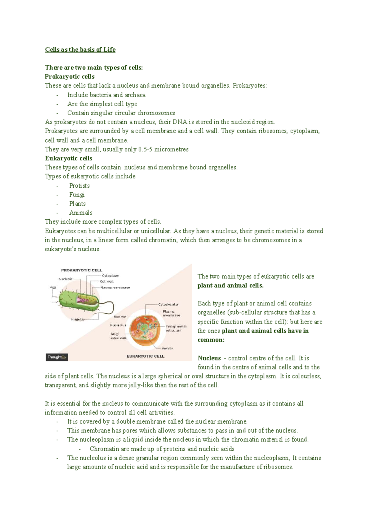 Mod 1 Bio Notes 2026 Term 1: Cell Types and Functions - Studocu