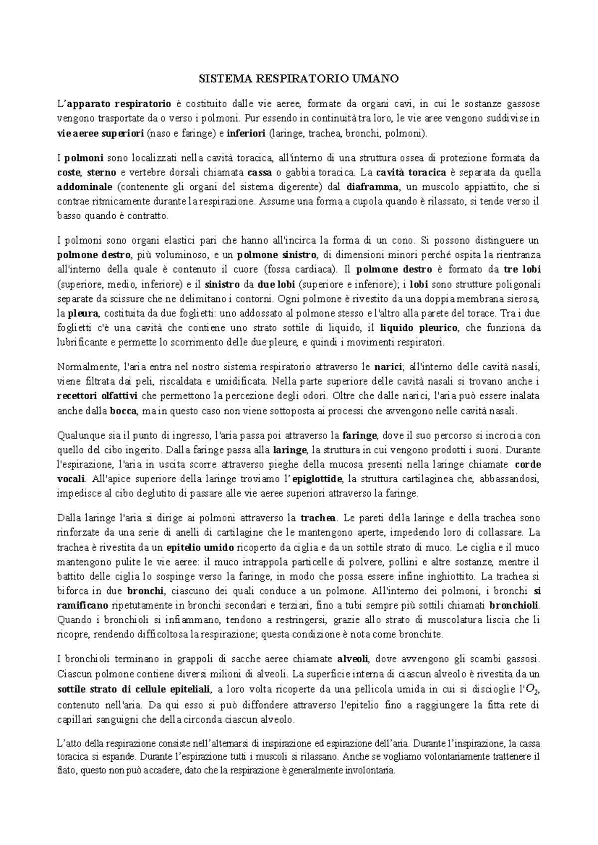 SISTEMA RESPIRATORIO UMANO: Struttura e Funzionamento - Studocu