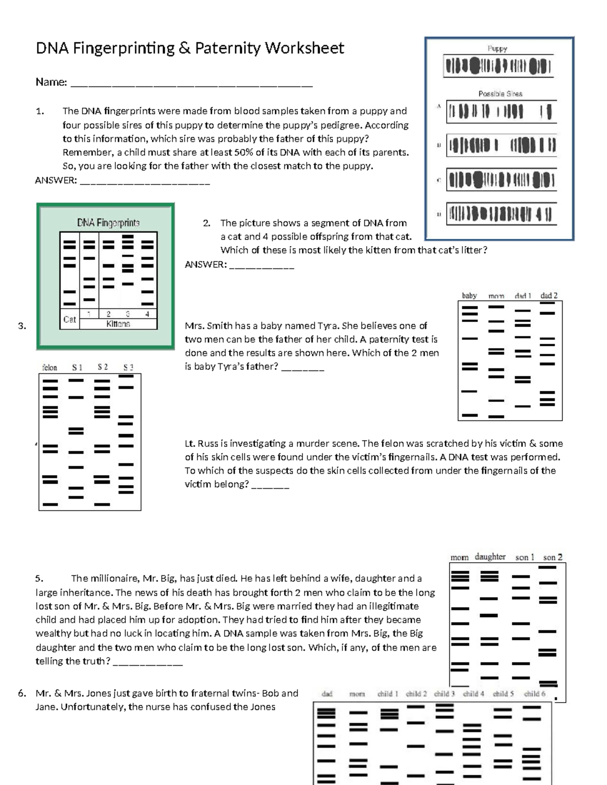 DNA Fingerprinting Practice Problems Worksheet - Studocu