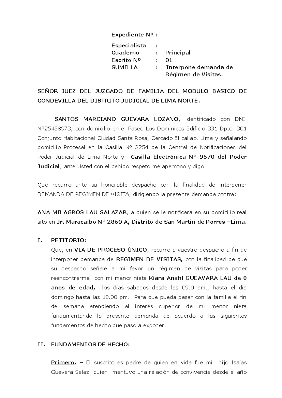 Demanda de Régimen de Visitas - Juzgado de Familia - 2023 - Document Preview